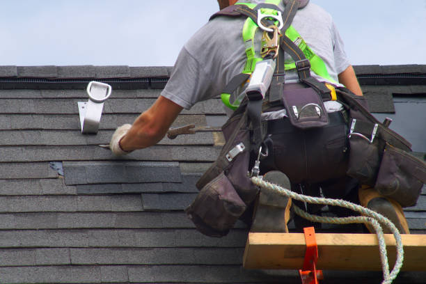 Best Roof Insulation Installation  in Reed Creek, GA